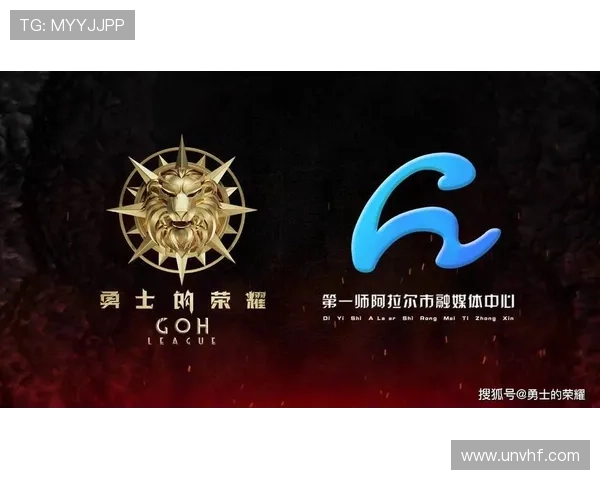 武汉篮球队崛起之路精英赛背后的奋斗与荣耀